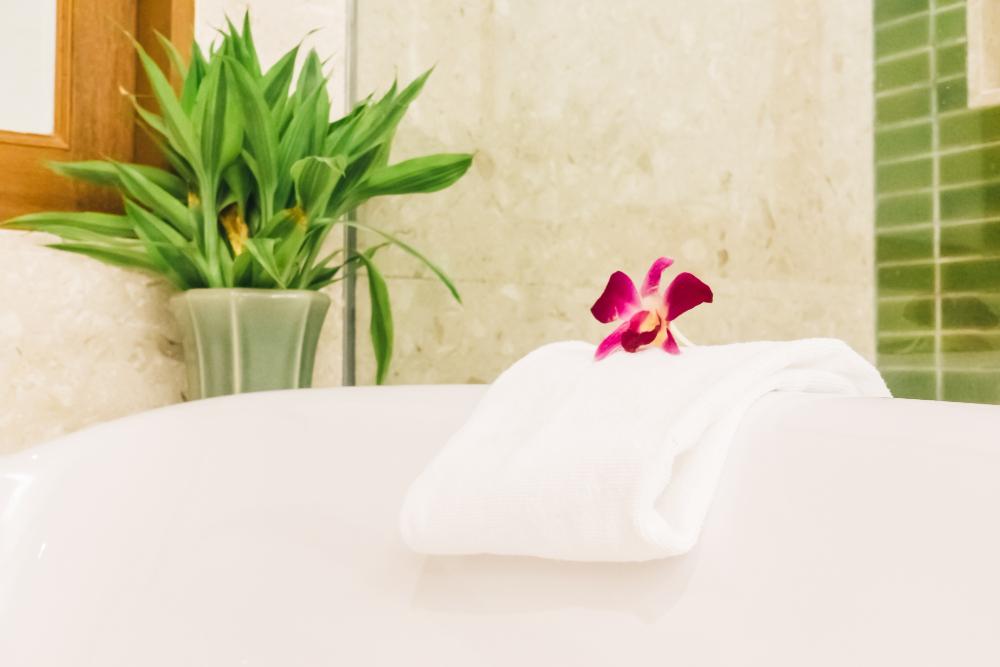 Element Wurzel - Feng Shui Interior Design